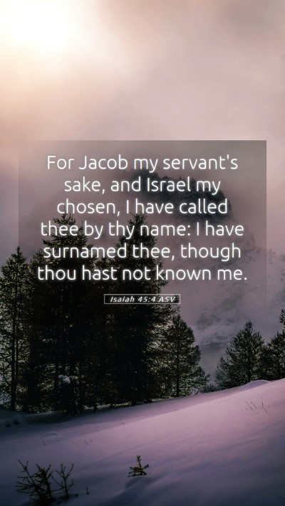 Picture 05 - Isaiah 45:4 ASV Mobile Phone Wallpaper - For Jacob my servant's sake, and Israel my - Mobile Bible Verse Wallpaper