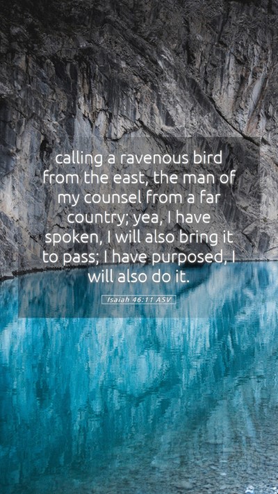 Picture 05 - Isaiah 46:11 ASV Mobile Phone Wallpaper - calling a ravenous bird from the east, the man of - Mobile Bible Verse Wallpaper