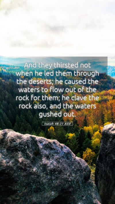 Picture 05 - Isaiah 48:21 ASV Mobile Phone Wallpaper - And they thirsted not when he led them through - Mobile Bible Verse Wallpaper