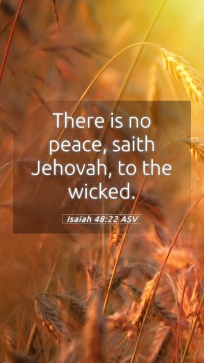 Picture 05 - Isaiah 48:22 ASV Mobile Phone Wallpaper - There is no peace, saith Jehovah, to the - Mobile Bible Verse Wallpaper