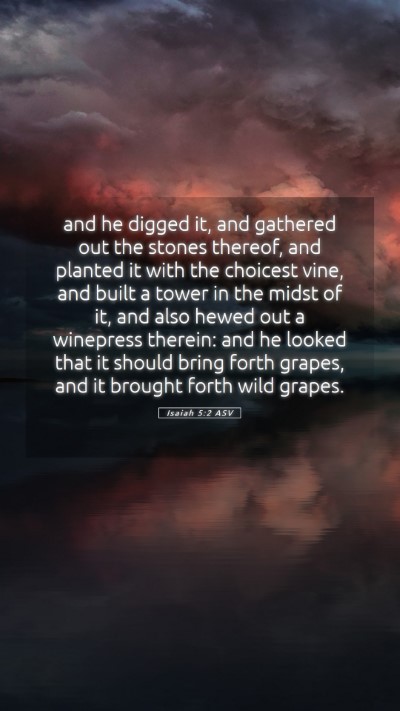 Picture 05 - Isaiah 5:2 ASV Mobile Phone Wallpaper - and he digged it, and gathered out the stones - Mobile Bible Verse Wallpaper