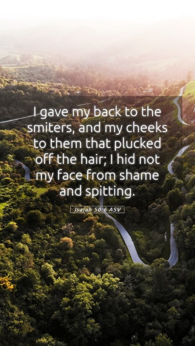 Picture 05 - Isaiah 50:6 ASV Mobile Phone Wallpaper - I gave my back to the smiters, and my cheeks to - Mobile Bible Verse Wallpaper