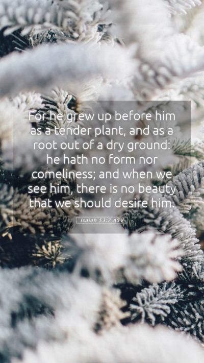 Picture 05 - Isaiah 53:2 ASV Mobile Phone Wallpaper - For he grew up before him as a tender plant, and - Mobile Bible Verse Wallpaper