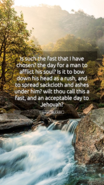 Picture 05 - Isaiah 58:5 ASV Mobile Phone Wallpaper - Is such the fast that I have chosen? the day for - Mobile Bible Verse Wallpaper