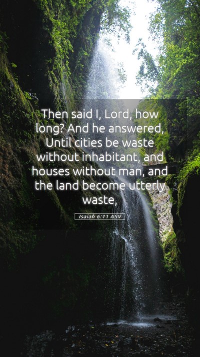 Picture 05 - Isaiah 6:11 ASV Mobile Phone Wallpaper - Then said I, Lord, how long? And he answered, - Mobile Bible Verse Wallpaper