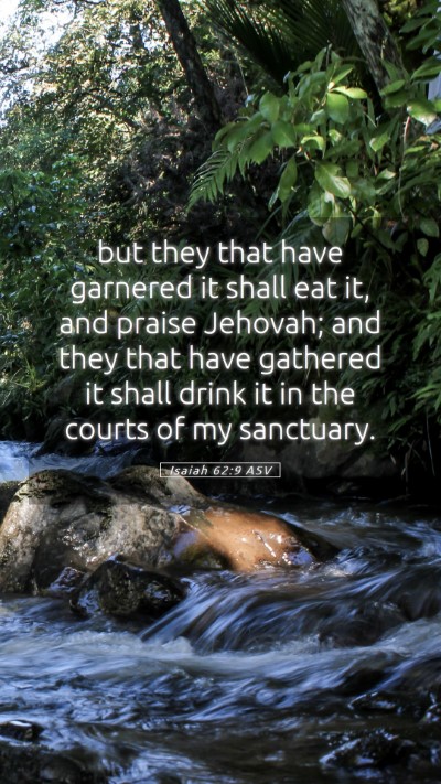 Picture 05 - Isaiah 62:9 ASV Mobile Phone Wallpaper - but they that have garnered it shall eat it, and - Mobile Bible Verse Wallpaper