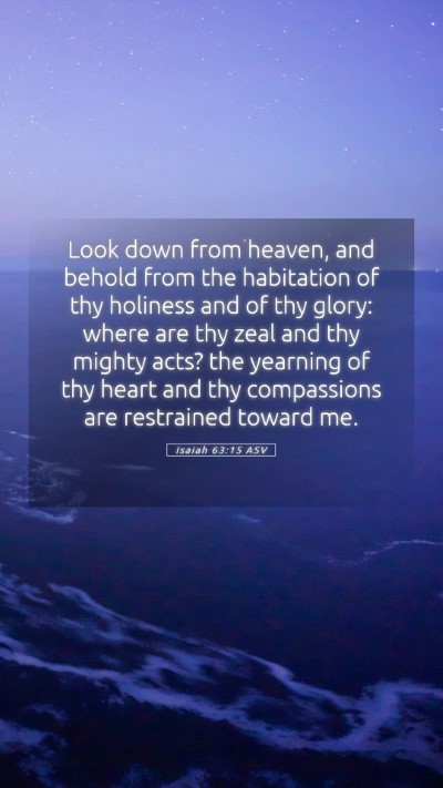Picture 05 - Isaiah 63:15 ASV Mobile Phone Wallpaper - Look down from heaven, and behold from the - Mobile Bible Verse Wallpaper