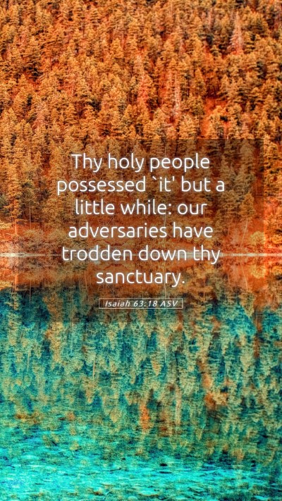 Picture 05 - Isaiah 63:18 ASV Mobile Phone Wallpaper - Thy holy people possessed `it' but a little - Mobile Bible Verse Wallpaper