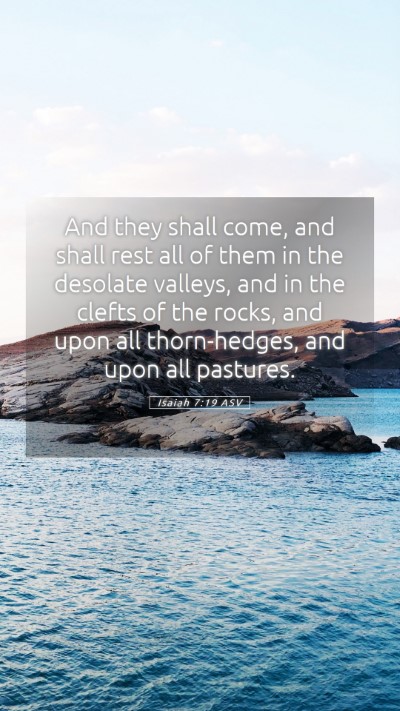 Picture 05 - Isaiah 7:19 ASV Mobile Phone Wallpaper - And they shall come, and shall rest all of them - Mobile Bible Verse Wallpaper