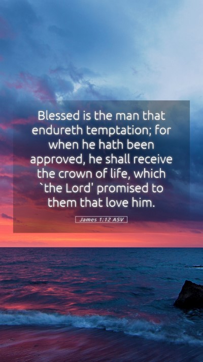 Picture 05 - James 1:12 ASV Mobile Phone Wallpaper - Blessed is the man that endureth temptation; for - Mobile Bible Verse Wallpaper