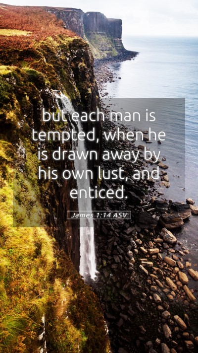 Picture 05 - James 1:14 ASV Mobile Phone Wallpaper - but each man is tempted, when he is drawn away by - Mobile Bible Verse Wallpaper