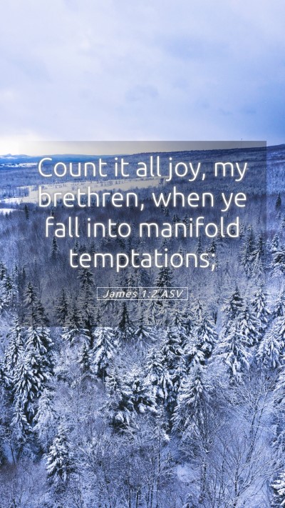 Picture 05 - James 1:2 ASV Mobile Phone Wallpaper - Count it all joy, my brethren, when ye fall into - Mobile Bible Verse Wallpaper