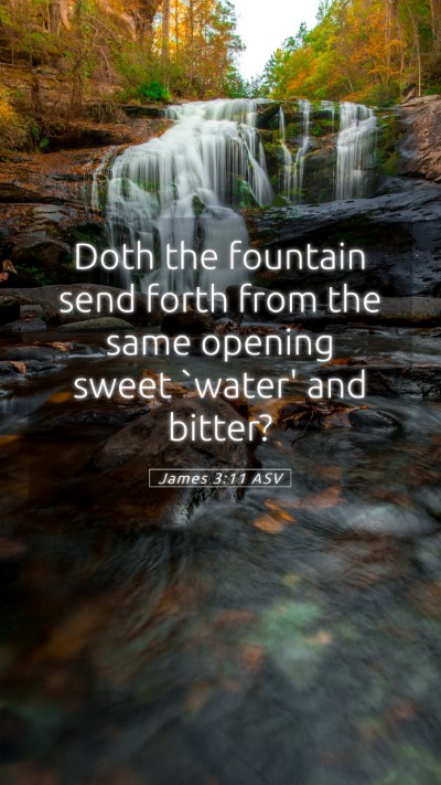 Picture 05 - James 3:11 ASV Mobile Phone Wallpaper - Doth the fountain send forth from the same - Mobile Bible Verse Wallpaper