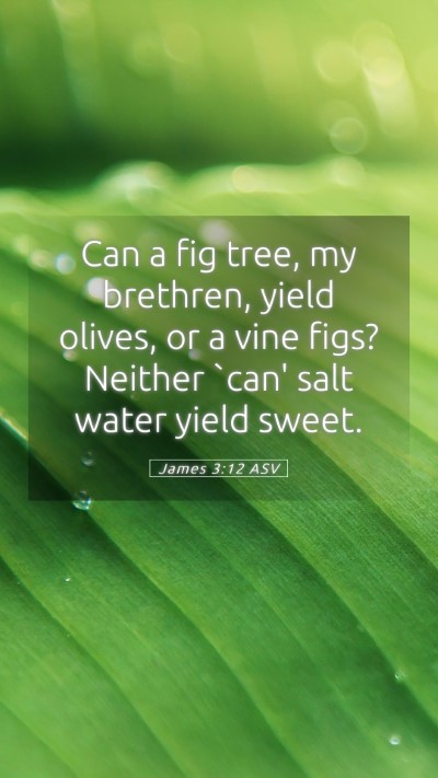 Picture 05 - James 3:12 ASV Mobile Phone Wallpaper - Can a fig tree, my brethren, yield olives, or a - Mobile Bible Verse Wallpaper