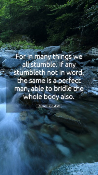 Picture 05 - James 3:2 ASV Mobile Phone Wallpaper - For in many things we all stumble. If any - Mobile Bible Verse Wallpaper
