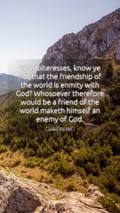 Picture 05 - James 4:4 ASV Mobile Phone Wallpaper - Ye adulteresses, know ye not that the friendship - Mobile Bible Verse Wallpaper