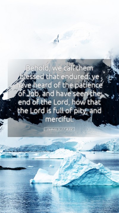 Picture 05 - James 5:11 ASV Mobile Phone Wallpaper - Behold, we call them blessed that endured: ye - Mobile Bible Verse Wallpaper