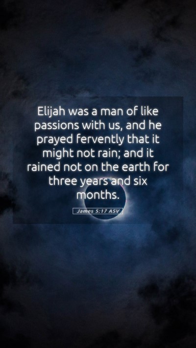 Picture 05 - James 5:17 ASV Mobile Phone Wallpaper - Elijah was a man of like passions with us, and he - Mobile Bible Verse Wallpaper