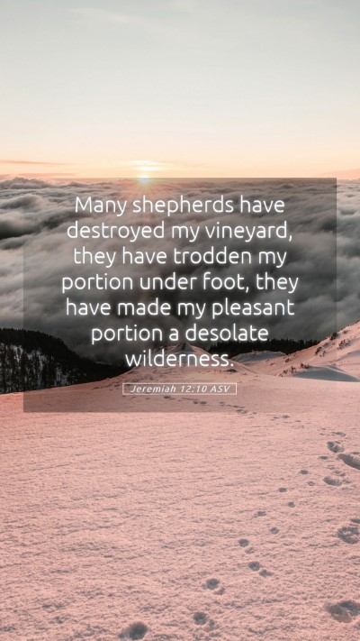 Picture 05 - Jeremiah 12:10 ASV Mobile Phone Wallpaper - Many shepherds have destroyed my vineyard, they - Mobile Bible Verse Wallpaper