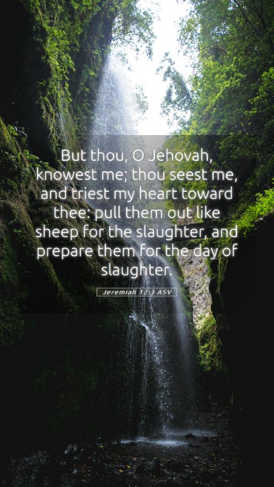 Picture 05 - Jeremiah 12:3 ASV Mobile Phone Wallpaper - But thou, O Jehovah, knowest me; thou seest me, - Mobile Bible Verse Wallpaper