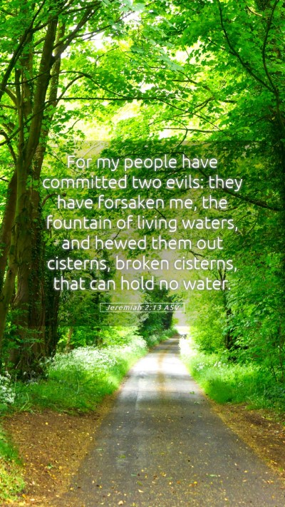 Picture 05 - Jeremiah 2:13 ASV Mobile Phone Wallpaper - For my people have committed two evils: they have - Mobile Bible Verse Wallpaper