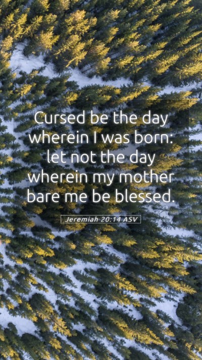 Picture 05 - Jeremiah 20:14 ASV Mobile Phone Wallpaper - Cursed be the day wherein I was born: let not the - Mobile Bible Verse Wallpaper