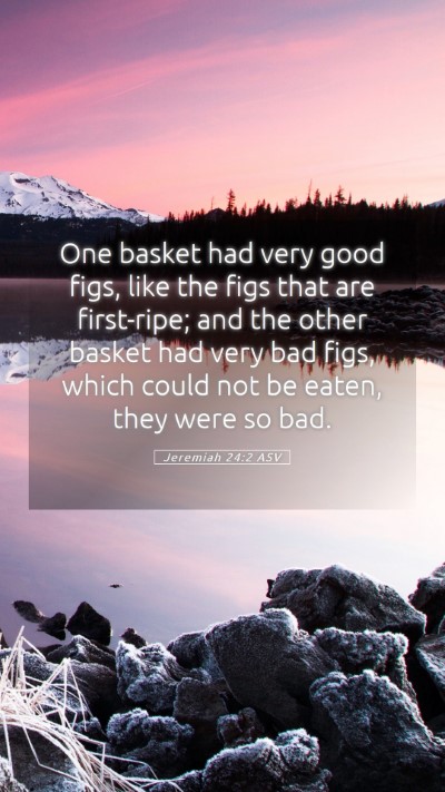 Picture 05 - Jeremiah 24:2 ASV Mobile Phone Wallpaper - One basket had very good figs, like the figs that - Mobile Bible Verse Wallpaper