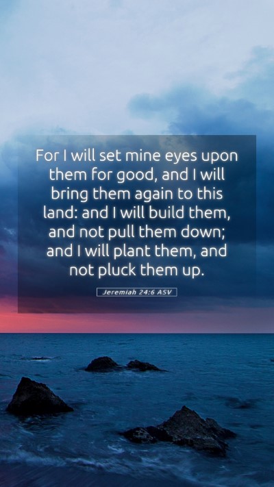 Picture 05 - Jeremiah 24:6 ASV Mobile Phone Wallpaper - For I will set mine eyes upon them for good, and - Mobile Bible Verse Wallpaper