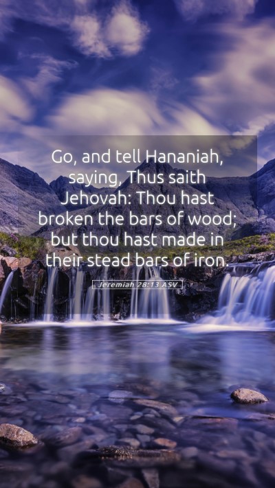 Picture 05 - Jeremiah 28:13 ASV Mobile Phone Wallpaper - Go, and tell Hananiah, saying, Thus saith - Mobile Bible Verse Wallpaper