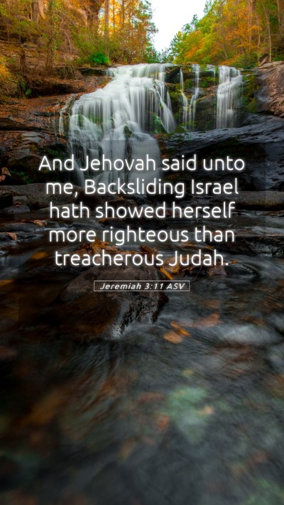 Picture 05 - Jeremiah 3:11 ASV Mobile Phone Wallpaper - And Jehovah said unto me, Backsliding Israel hath - Mobile Bible Verse Wallpaper