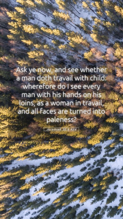 Picture 05 - Jeremiah 30:6 ASV Mobile Phone Wallpaper - Ask ye now, and see whether a man doth travail - Mobile Bible Verse Wallpaper