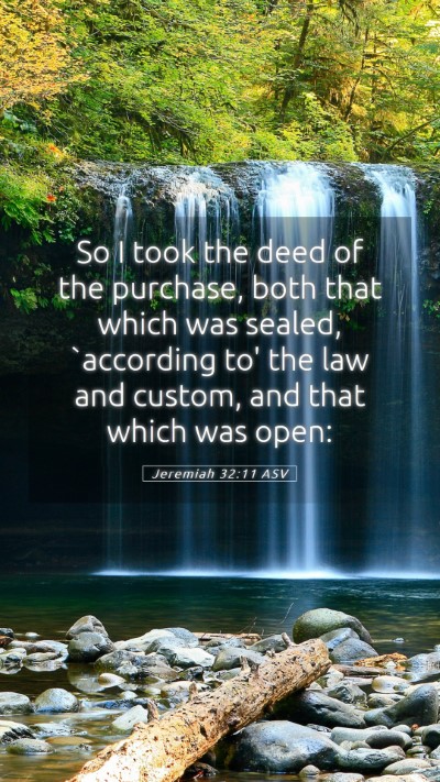 Picture 05 - Jeremiah 32:11 ASV Mobile Phone Wallpaper - So I took the deed of the purchase, both that - Mobile Bible Verse Wallpaper