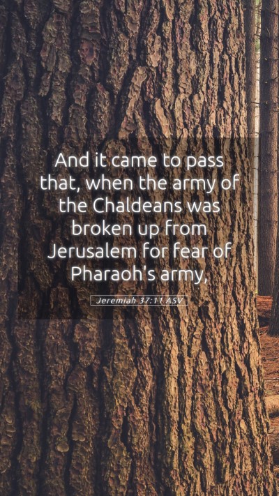 Picture 05 - Jeremiah 37:11 ASV Mobile Phone Wallpaper - And it came to pass that, when the army of the - Mobile Bible Verse Wallpaper
