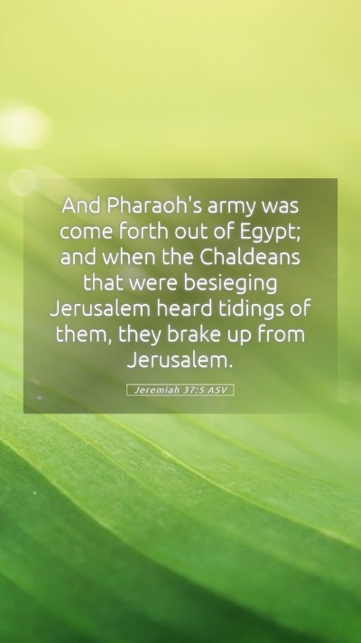 Picture 05 - Jeremiah 37:5 ASV Mobile Phone Wallpaper - And Pharaoh's army was come forth out of Egypt; - Mobile Bible Verse Wallpaper