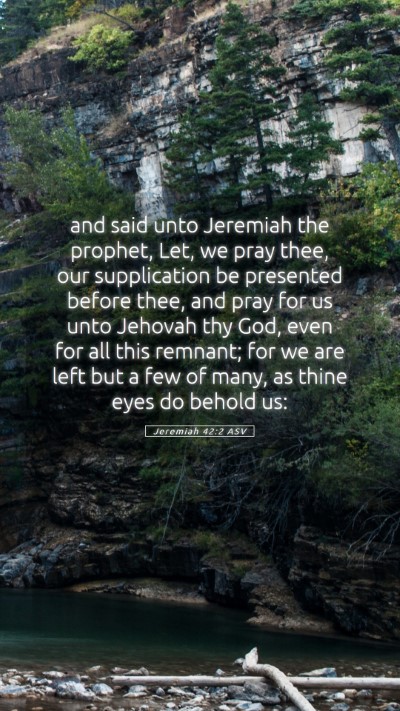 Picture 05 - Jeremiah 42:2 ASV Mobile Phone Wallpaper - and said unto Jeremiah the prophet, Let, we pray - Mobile Bible Verse Wallpaper