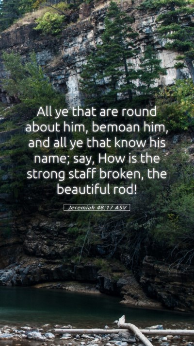 Picture 05 - Jeremiah 48:17 ASV Mobile Phone Wallpaper - All ye that are round about him, bemoan him, and - Mobile Bible Verse Wallpaper