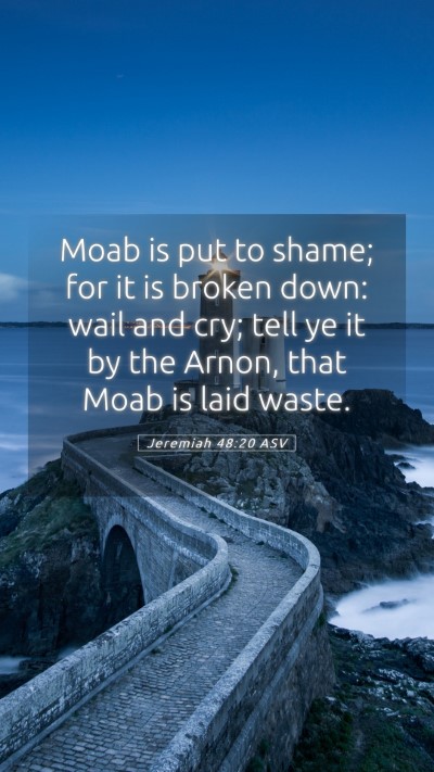 Picture 05 - Jeremiah 48:20 ASV Mobile Phone Wallpaper - Moab is put to shame; for it is broken down: wail - Mobile Bible Verse Wallpaper