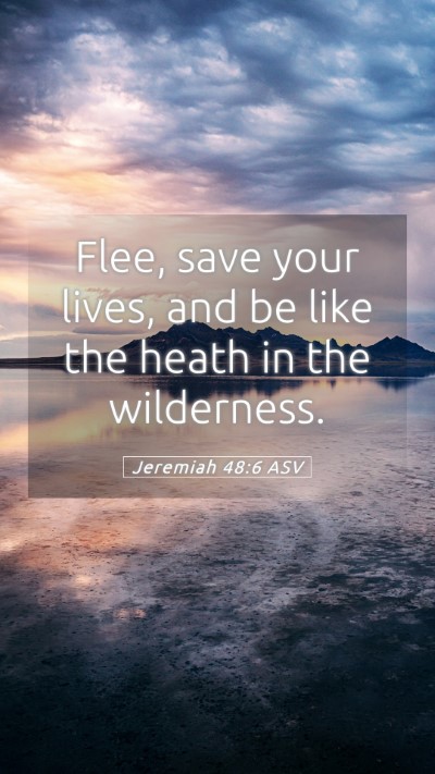 Picture 05 - Jeremiah 48:6 ASV Mobile Phone Wallpaper - Flee, save your lives, and be like the heath in - Mobile Bible Verse Wallpaper