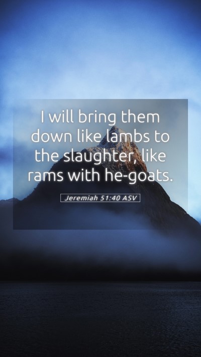 Picture 05 - Jeremiah 51:40 ASV Mobile Phone Wallpaper - I will bring them down like lambs to the - Mobile Bible Verse Wallpaper