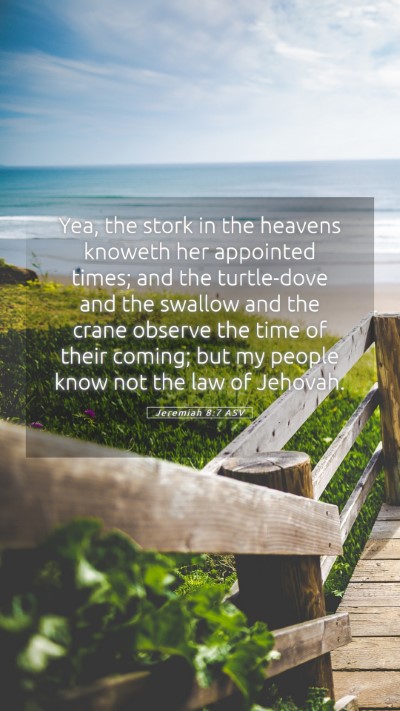 Picture 05 - Jeremiah 8:7 ASV Mobile Phone Wallpaper - Yea, the stork in the heavens knoweth her - Mobile Bible Verse Wallpaper