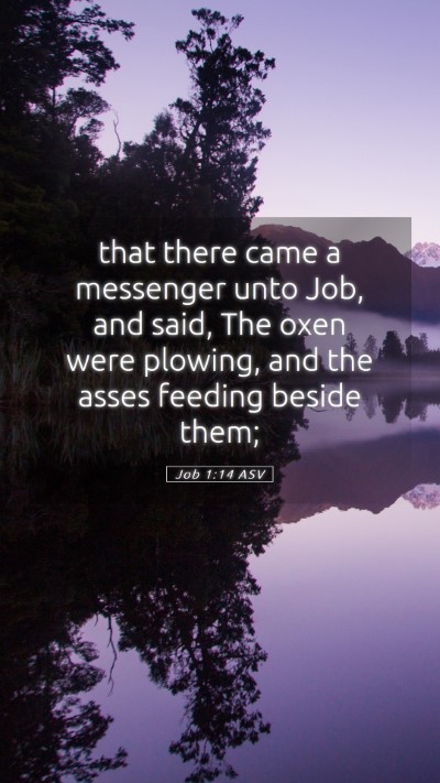 Picture 05 - Job 1:14 ASV Mobile Phone Wallpaper - that there came a messenger unto Job, and said, - Mobile Bible Verse Wallpaper