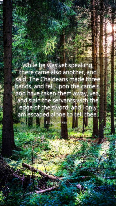 Picture 05 - Job 1:17 ASV Mobile Phone Wallpaper - While he was yet speaking, there came also - Mobile Bible Verse Wallpaper