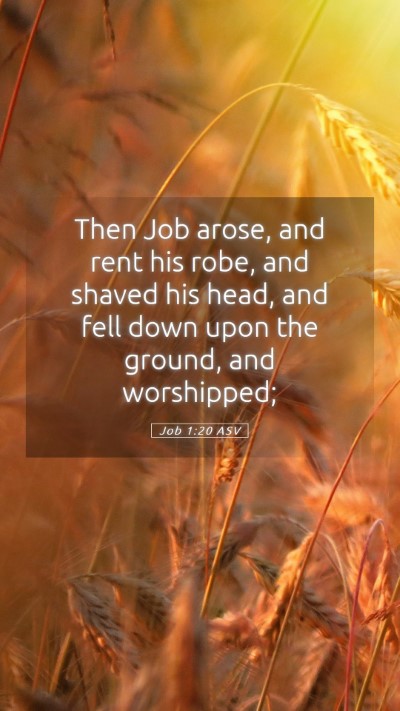 Picture 05 - Job 1:20 ASV Mobile Phone Wallpaper - Then Job arose, and rent his robe, and shaved his - Mobile Bible Verse Wallpaper