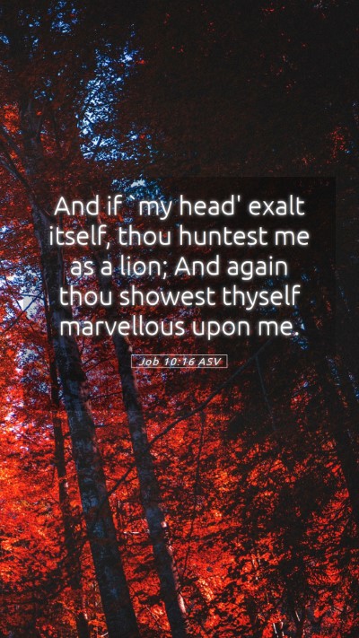 Picture 05 - Job 10:16 ASV Mobile Phone Wallpaper - And if `my head' exalt itself, thou huntest me as - Mobile Bible Verse Wallpaper