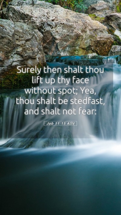 Picture 05 - Job 11:15 ASV Mobile Phone Wallpaper - Surely then shalt thou lift up thy face without - Mobile Bible Verse Wallpaper