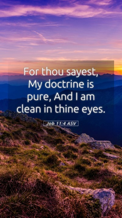 Picture 05 - Job 11:4 ASV Mobile Phone Wallpaper - For thou sayest, My doctrine is pure, And I am - Mobile Bible Verse Wallpaper