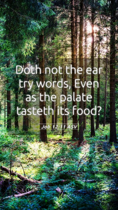 Picture 05 - Job 12:11 ASV Mobile Phone Wallpaper - Doth not the ear try words, Even as the palate - Mobile Bible Verse Wallpaper