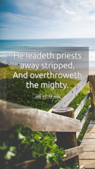 Picture 05 - Job 12:19 ASV Mobile Phone Wallpaper - He leadeth priests away stripped, And - Mobile Bible Verse Wallpaper