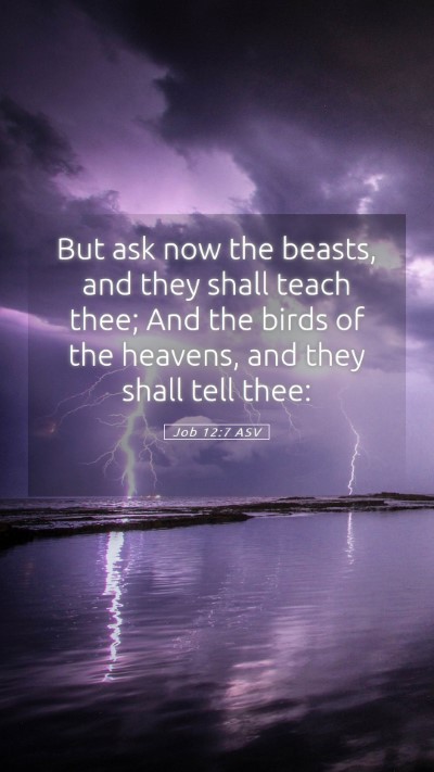 Picture 05 - Job 12:7 ASV Mobile Phone Wallpaper - But ask now the beasts, and they shall teach - Mobile Bible Verse Wallpaper