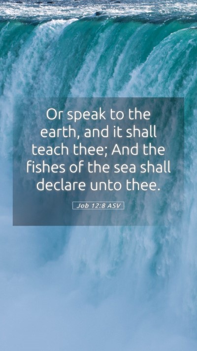 Picture 05 - Job 12:8 ASV Mobile Phone Wallpaper - Or speak to the earth, and it shall teach thee; - Mobile Bible Verse Wallpaper